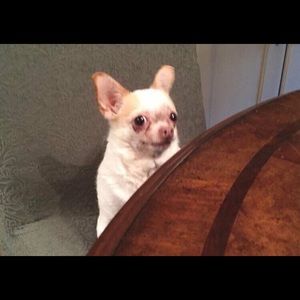 Meet your Posher, Edith